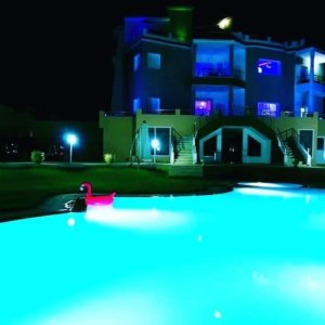 les jardins suspensus (9)